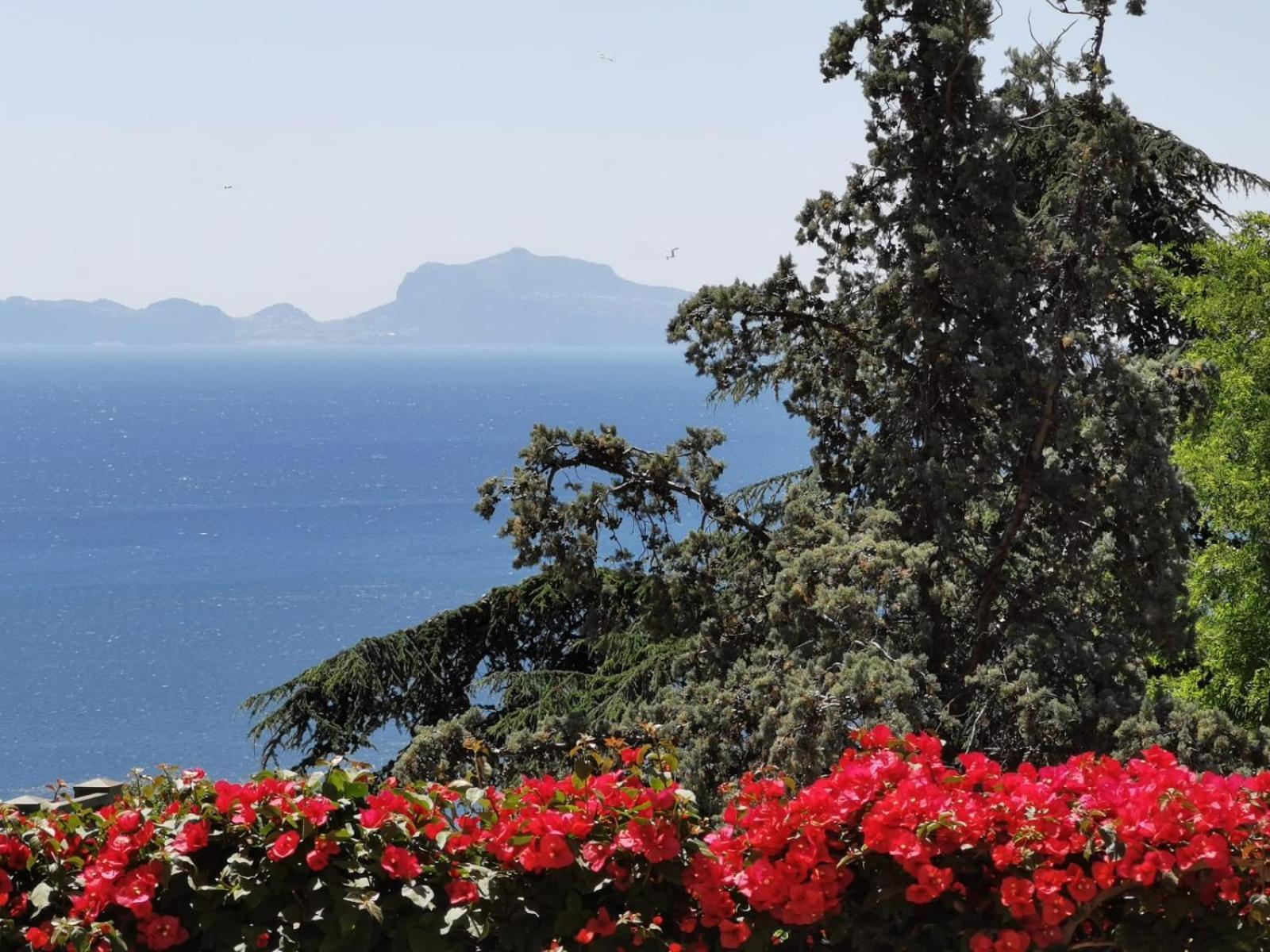 Vomero Guest House Napoli Dış mekan fotoğraf